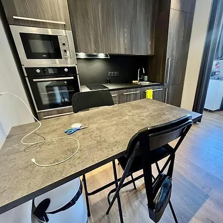 Excellent T1Bis En Hyper Centre Appartement Grenoble Buitenkant foto